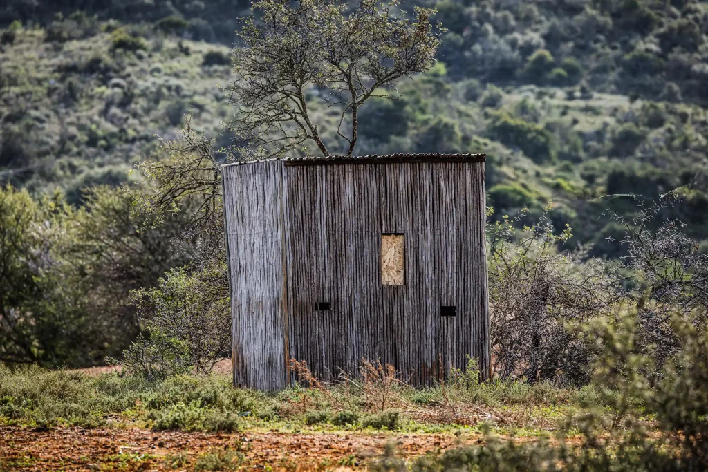 bow hunting in south africa