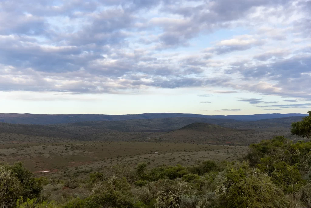 hunting season in south africa
