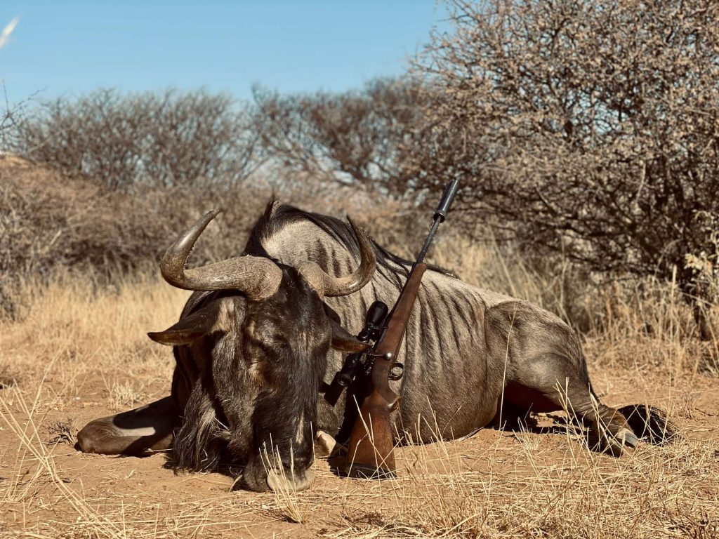 plains game south africa